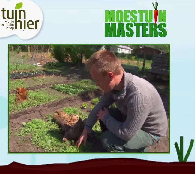 moestuinmasters1-0581121432067274.png
