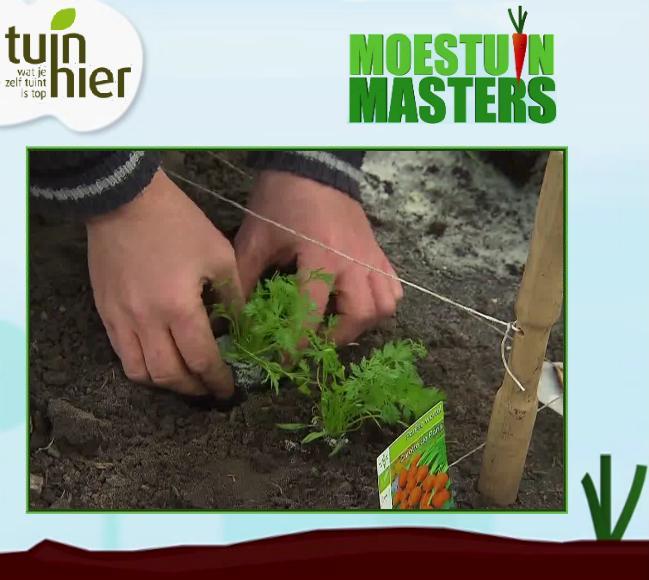 moestuinmasters2-0415621430159365.png