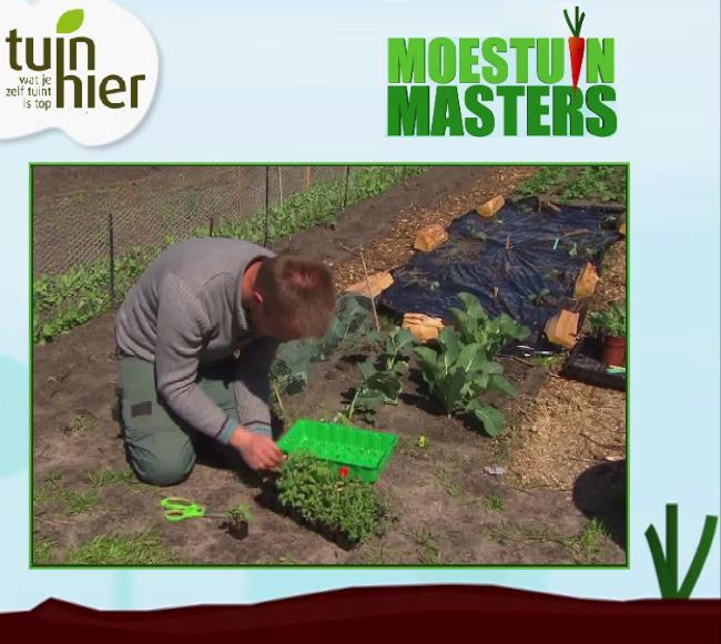 moestuinmasters2-0530271432067607.png