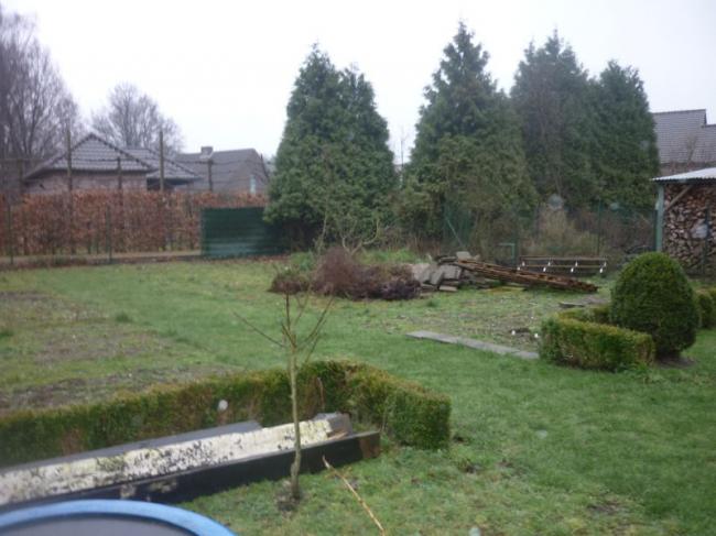 moestuinrechts89671359968591.jpg