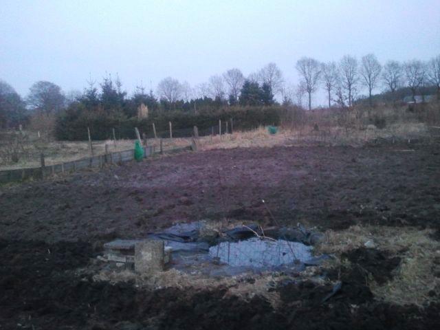 moestuintotnutoe23411365073657.jpg