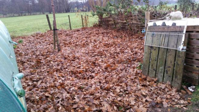 mulch23651417961596.jpg