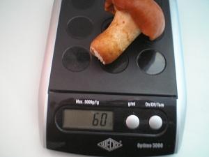 nameko-00379321328466110.JPG