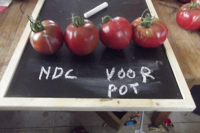 ndc-voor-pot71761501348986.JPG