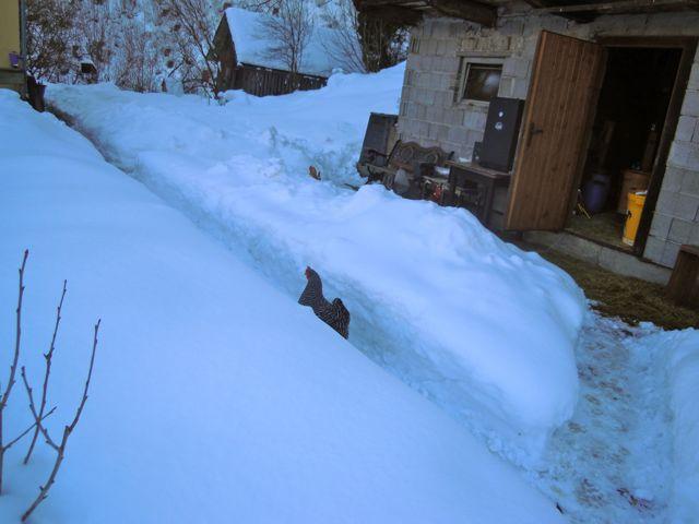 niet-over-de-sneeuw-kunnen-kijken--))38111366744918.jpg