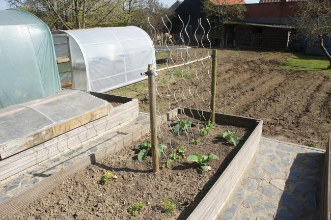 nieuw-moestuin-2012-00762381333404131.JPG
