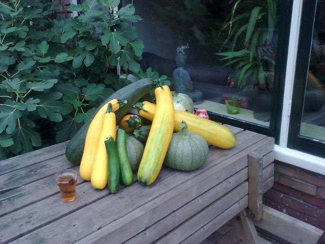 nog-niet-gesorteerd-14411761326908973.jpg
