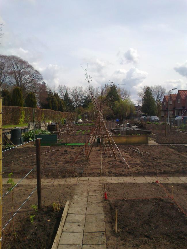 onze-tuin-06758521367164926.jpg