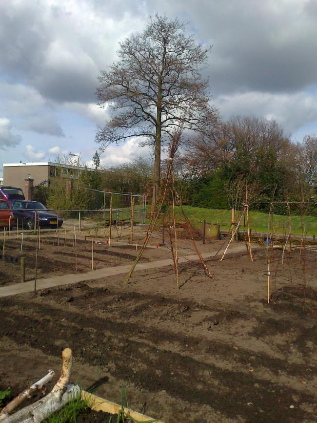 onze-tuin-07612031367165070.jpg