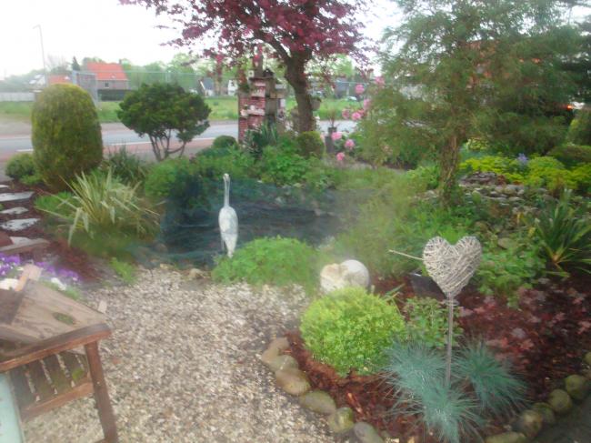 onze-tuin-2012-117061336504184.JPG