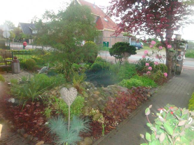 onze-tuin-201293851336504322.JPG