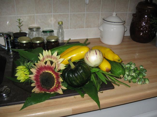 oogst-20-9-2012-00127301348147627.JPG