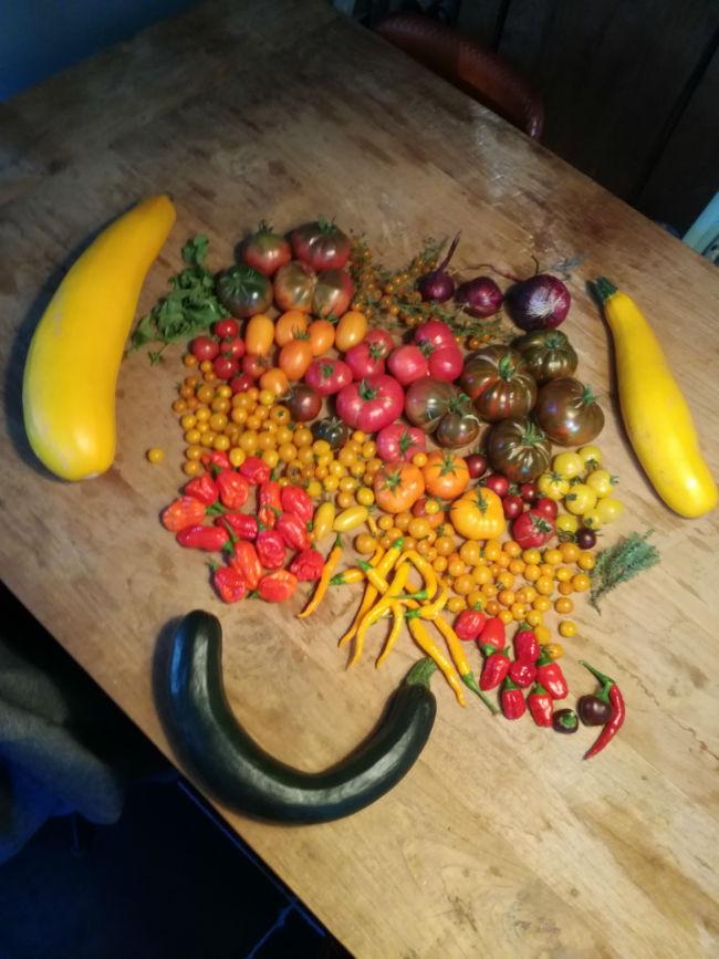 oogst32651538573106.jpg