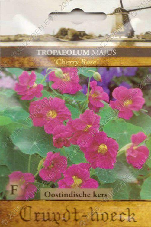 oost-indische-kers-tropaeolum-cherry-rose76881465404683.jpg