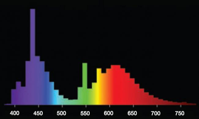 osram7717791359103163.jpg
