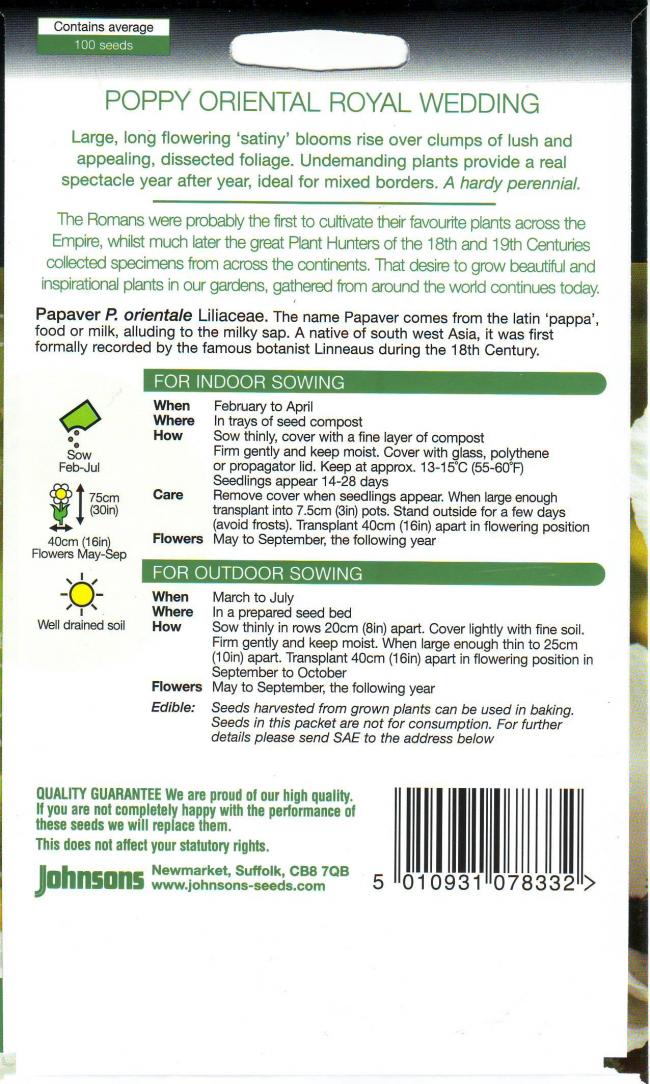 papaver35671339070920.jpg