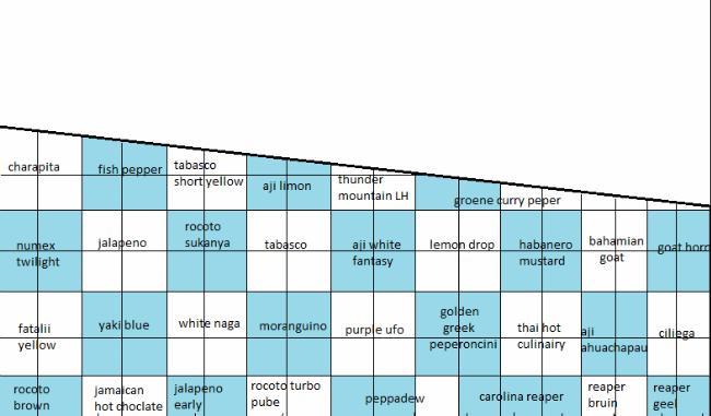 pepers3557148586307799451485989618.png