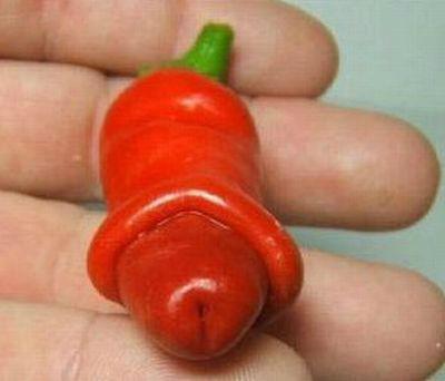peter-pepper177841394736896.jpg
