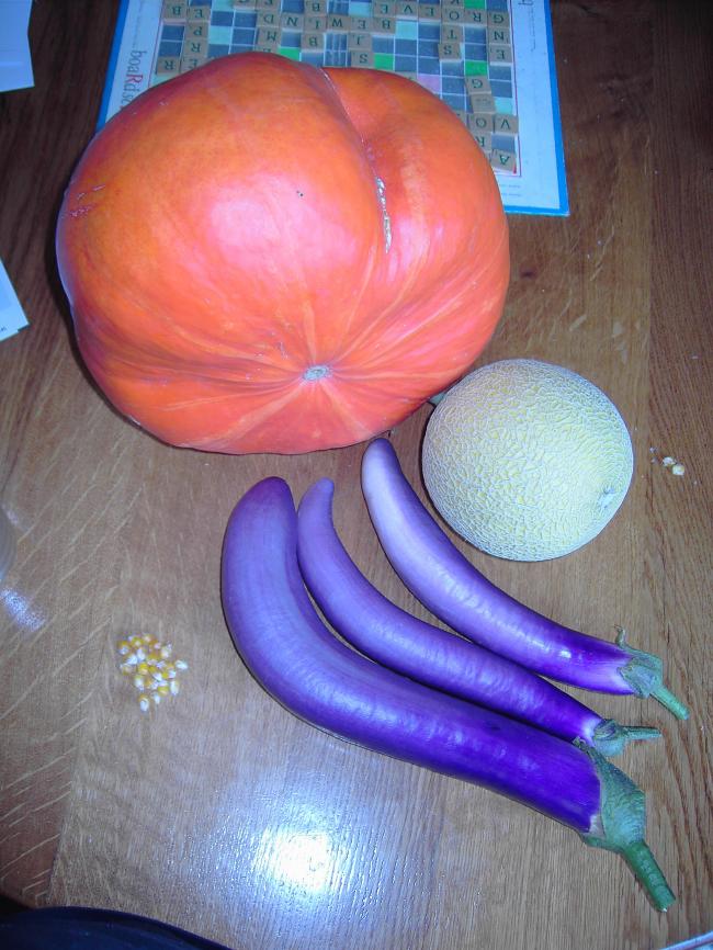 pict444551411346778746.jpg