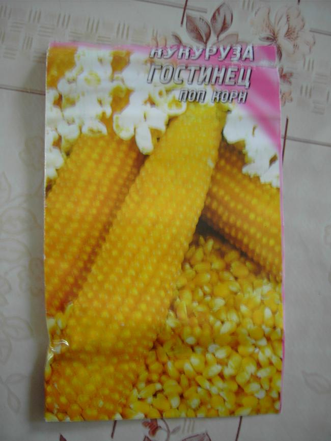 pict445515631346776735.jpg