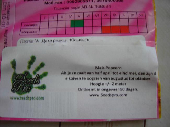 pict445660771346776738.JPG