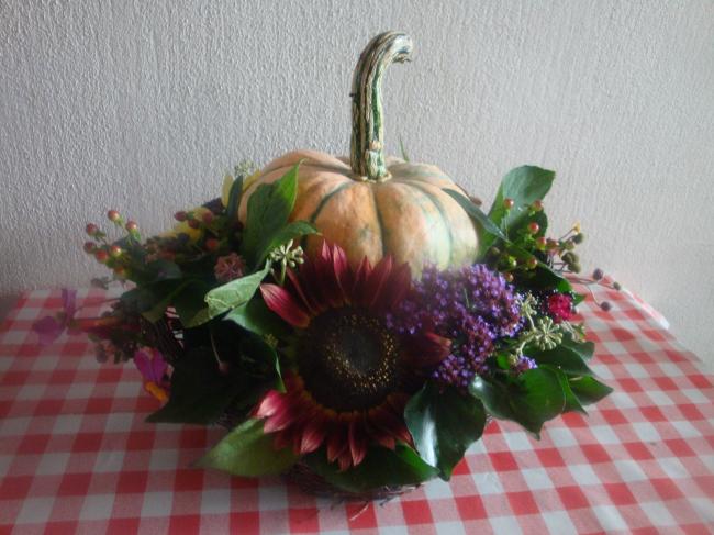 pompoen-oase-stuk58831350815534.JPG