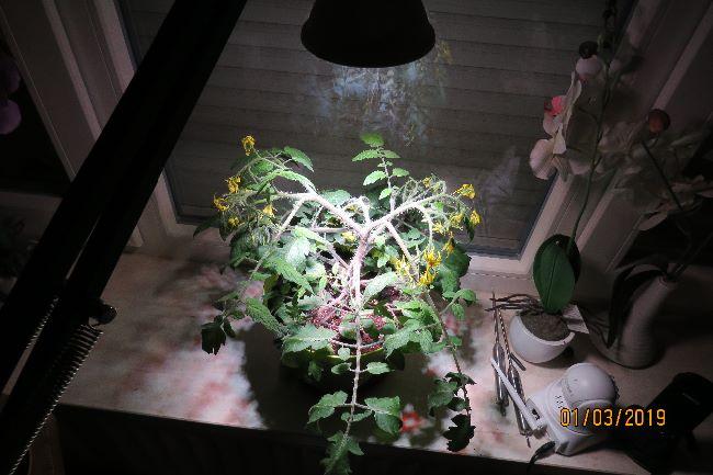 pot159131551465335.JPG