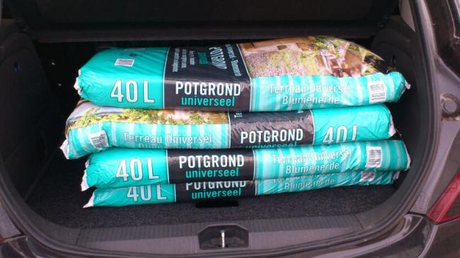 potgrond19731363090492.jpg