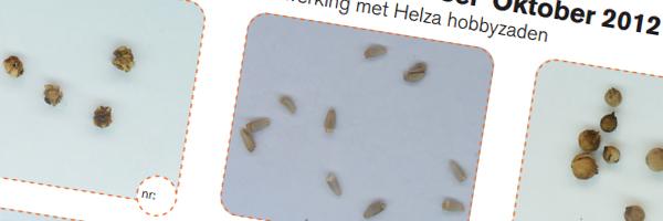 prijsvraag-moestuinforum-helza-zaden78181349079996.jpg