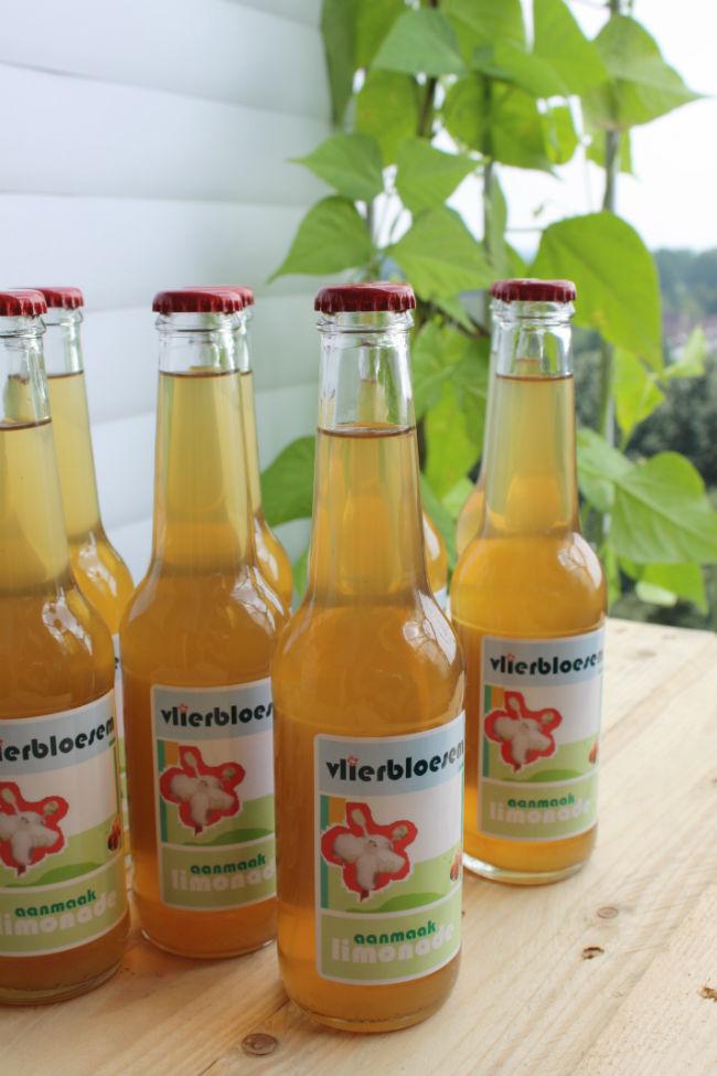 promotiefotoos-vlierbloesemlimonade-03533371405591856.JPG