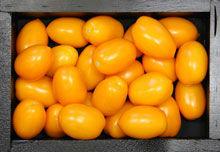 pruimtomaat-oranje65861460660246.jpg