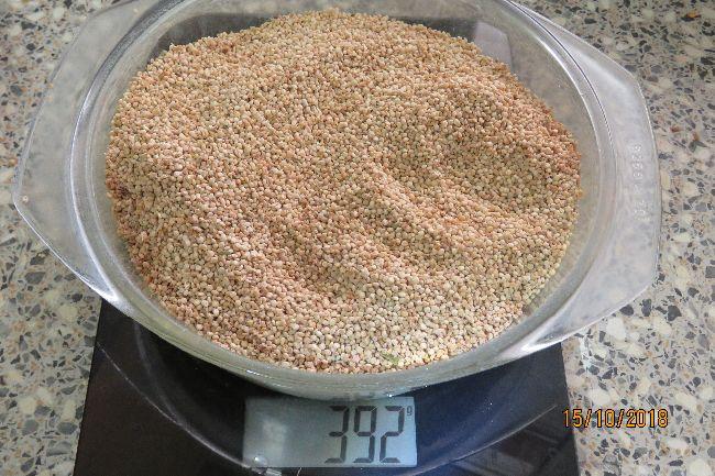 quinoa489991539631035.JPG
