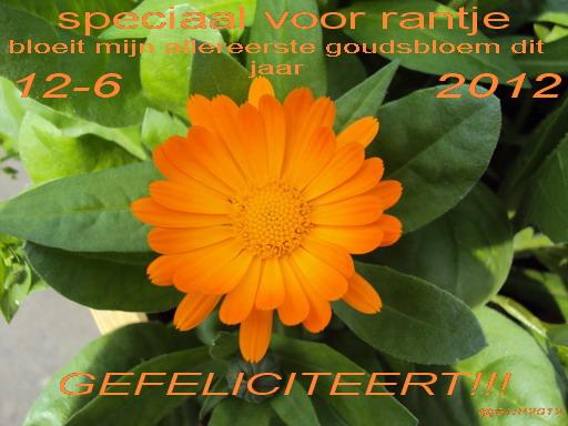rantje28741339508440.jpg