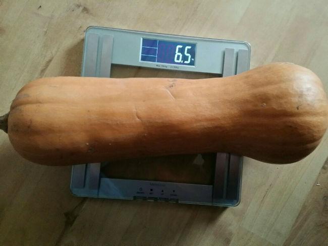 reuze-butternut76261417166653.jpg