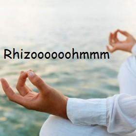 rhizoooohmmm12121333926499.jpg