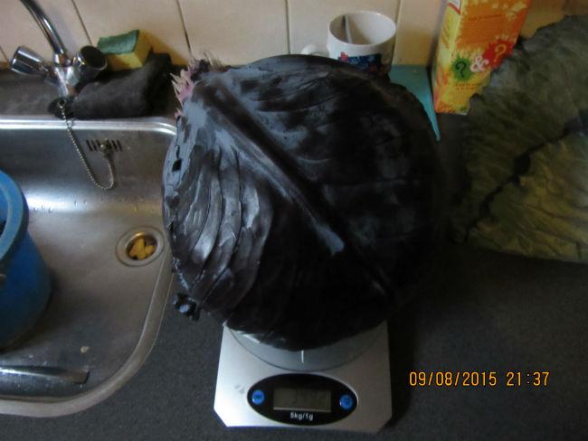 rodekool-00131211439145842.JPG