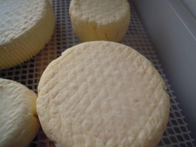 schimmel-camembert79111367391946.jpg