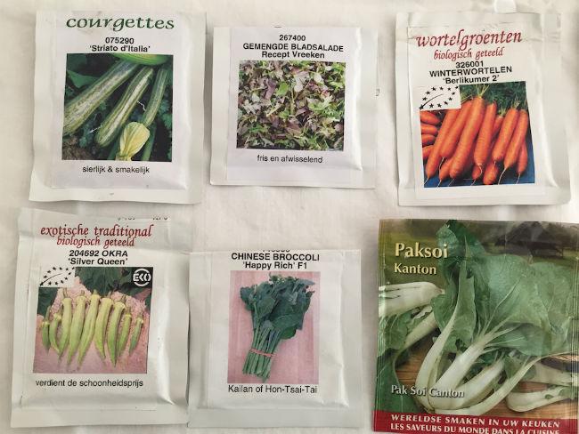 seeds1-copy85041438523388.jpg