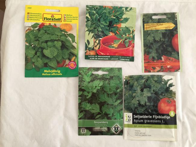 seeds3-copy69361438523419.jpeg
