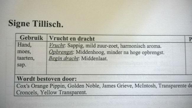signe193971410508045.jpg