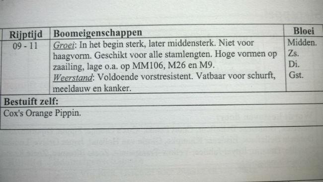 signe293021410508172.jpg
