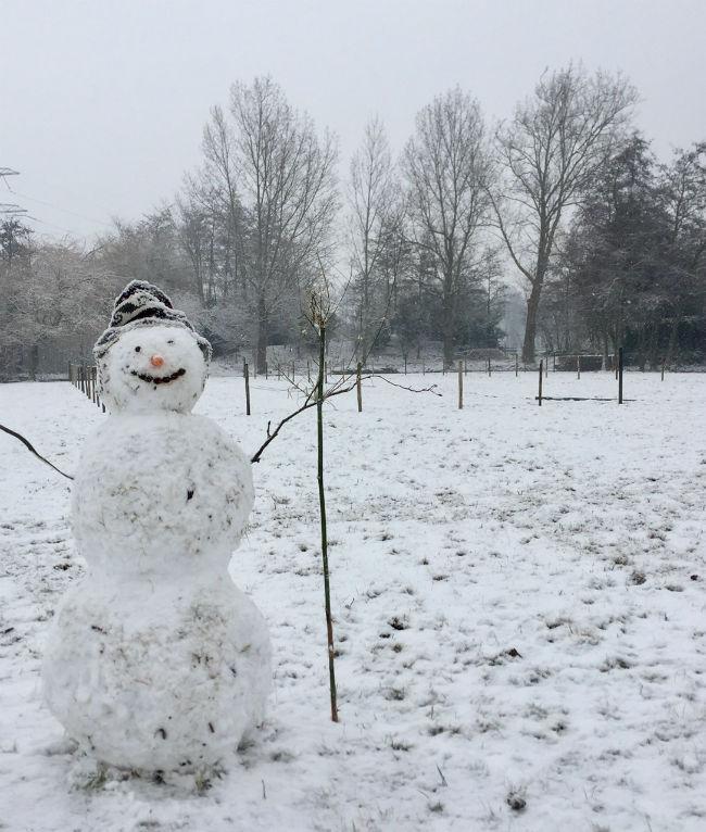 sneeuwman41651486908902.jpg