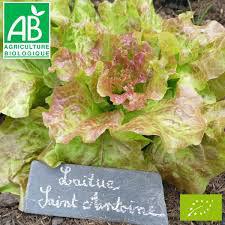 st-antoine82751438505550.jpeg