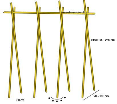 steunen-voor-bonen-stokken20941369189124.jpg