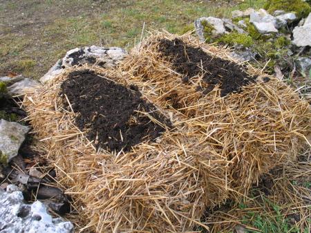 t12strawbalesmetcompost32271332177689.JPG