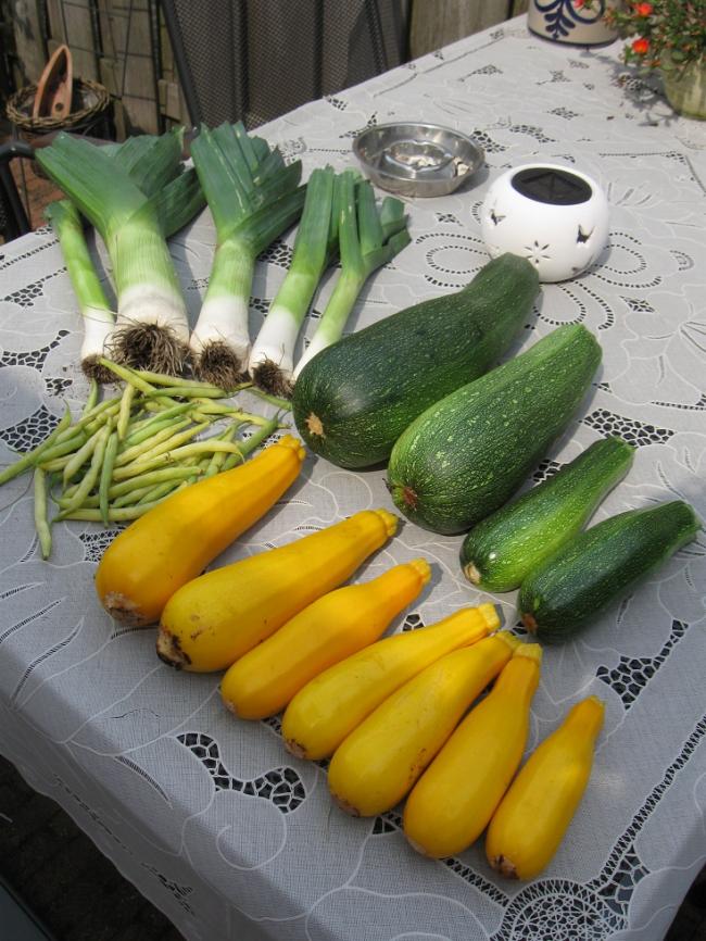 tascourgettes23augustus-00594311345733697.JPG