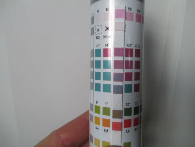 test-1-5-1786941493662296.JPG