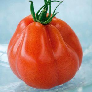 tomate-borsalina-f179031328282109.jpg