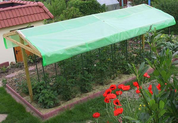 tomatenhaus396981391260219.jpg