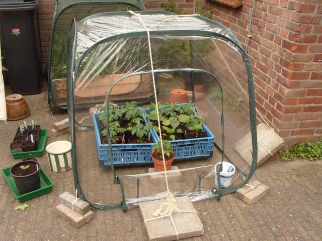 tompapanankersinkas43621340204508.JPG